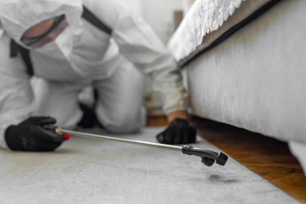 Professional Termite Control technician working in Rockaway Beach, OR