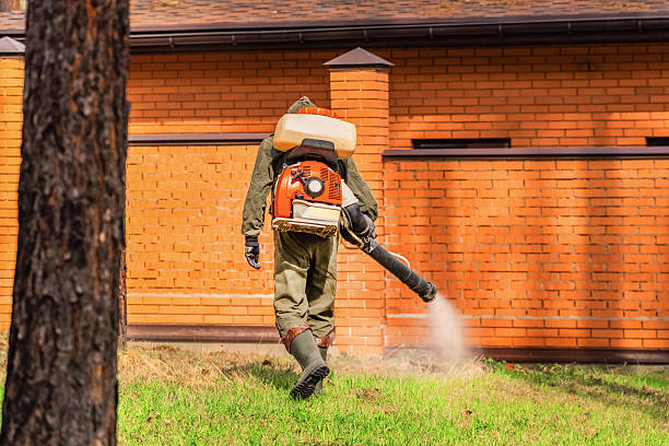 Trusted Mosquito Control service in Rockaway Beach, OR - Nex Pest Control